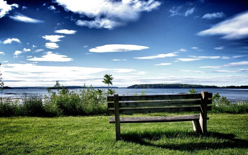 Bench overlooking a lake