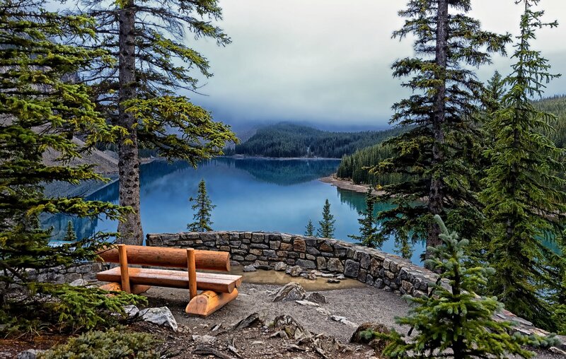 Bench overlooking a serene lake