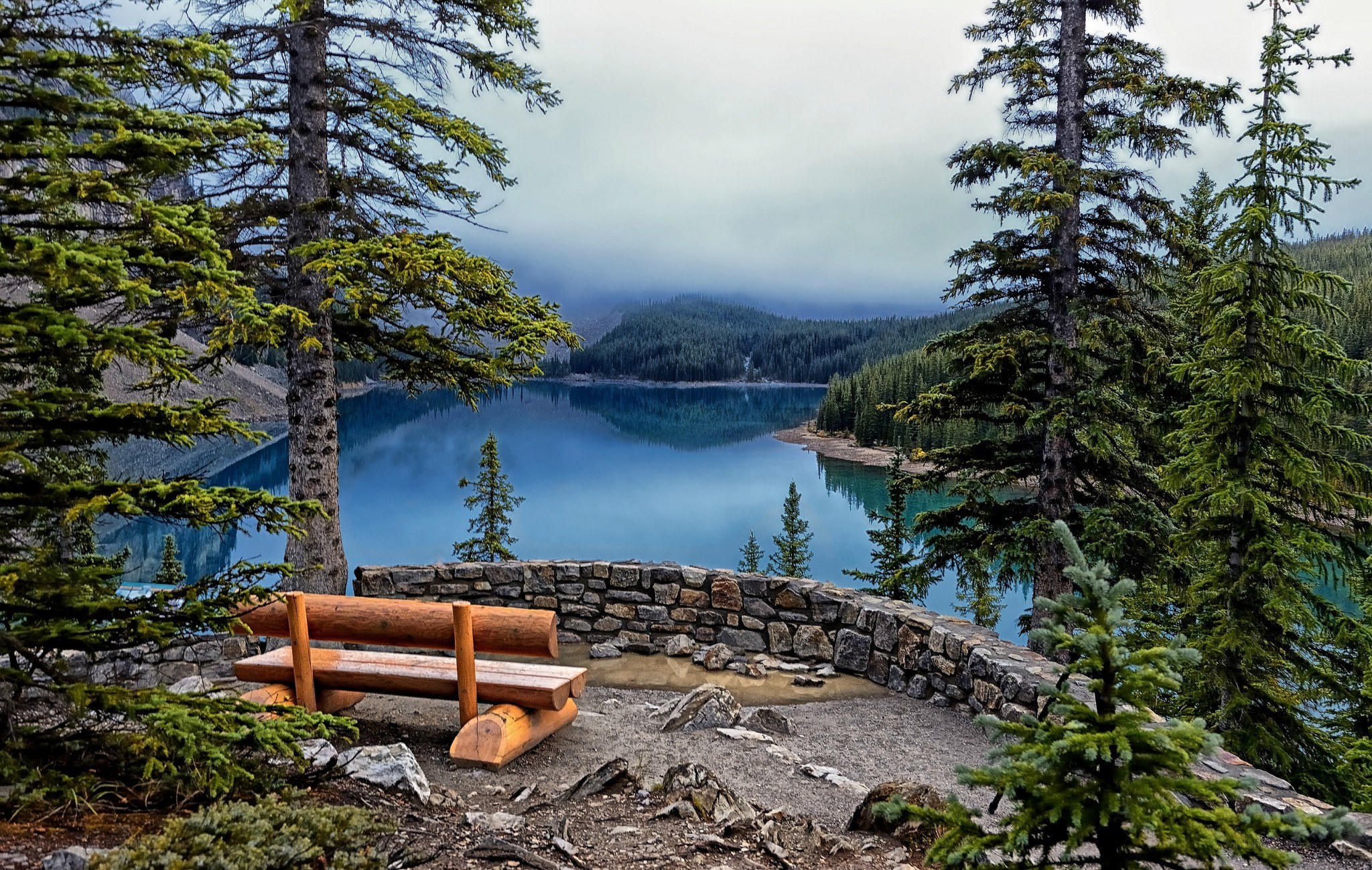 Bench overlooking a serene lake