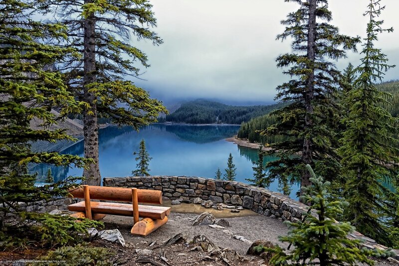 Bench overlooking a serene lake