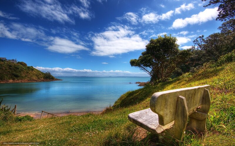 Bench overlooking coastal bay