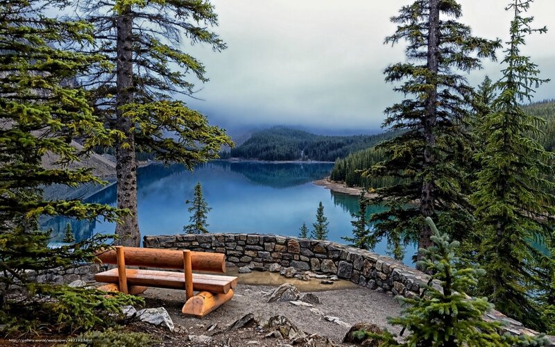 Bench Overlooking Lake — Blue, Serene