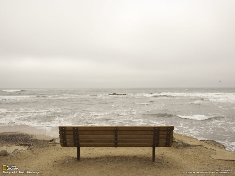 Bench overlooking the ocean