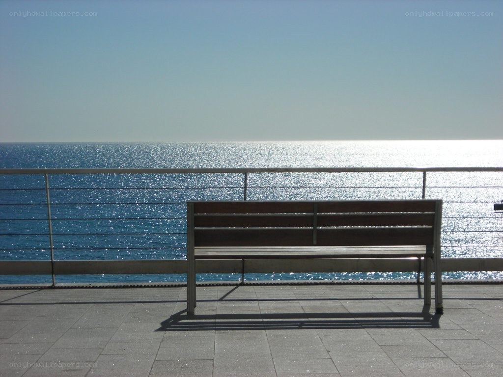 Bench overlooking the sea