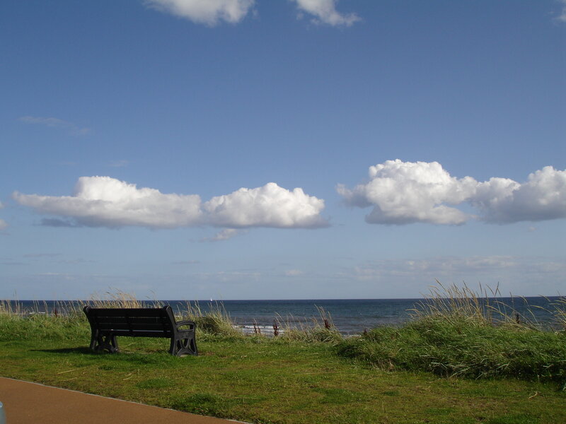 Bench overlooking the sea