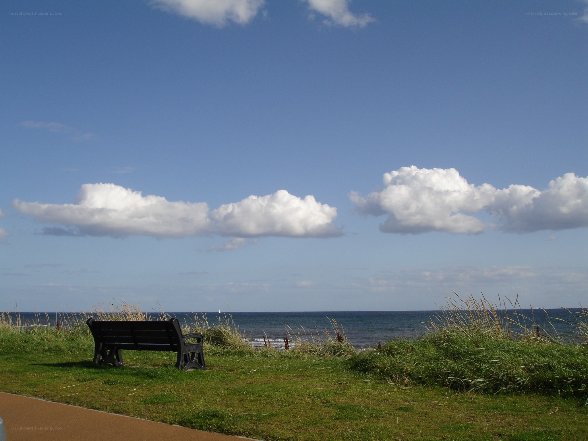 Bench overlooking the sea