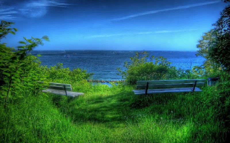 Bench overlooking the sea