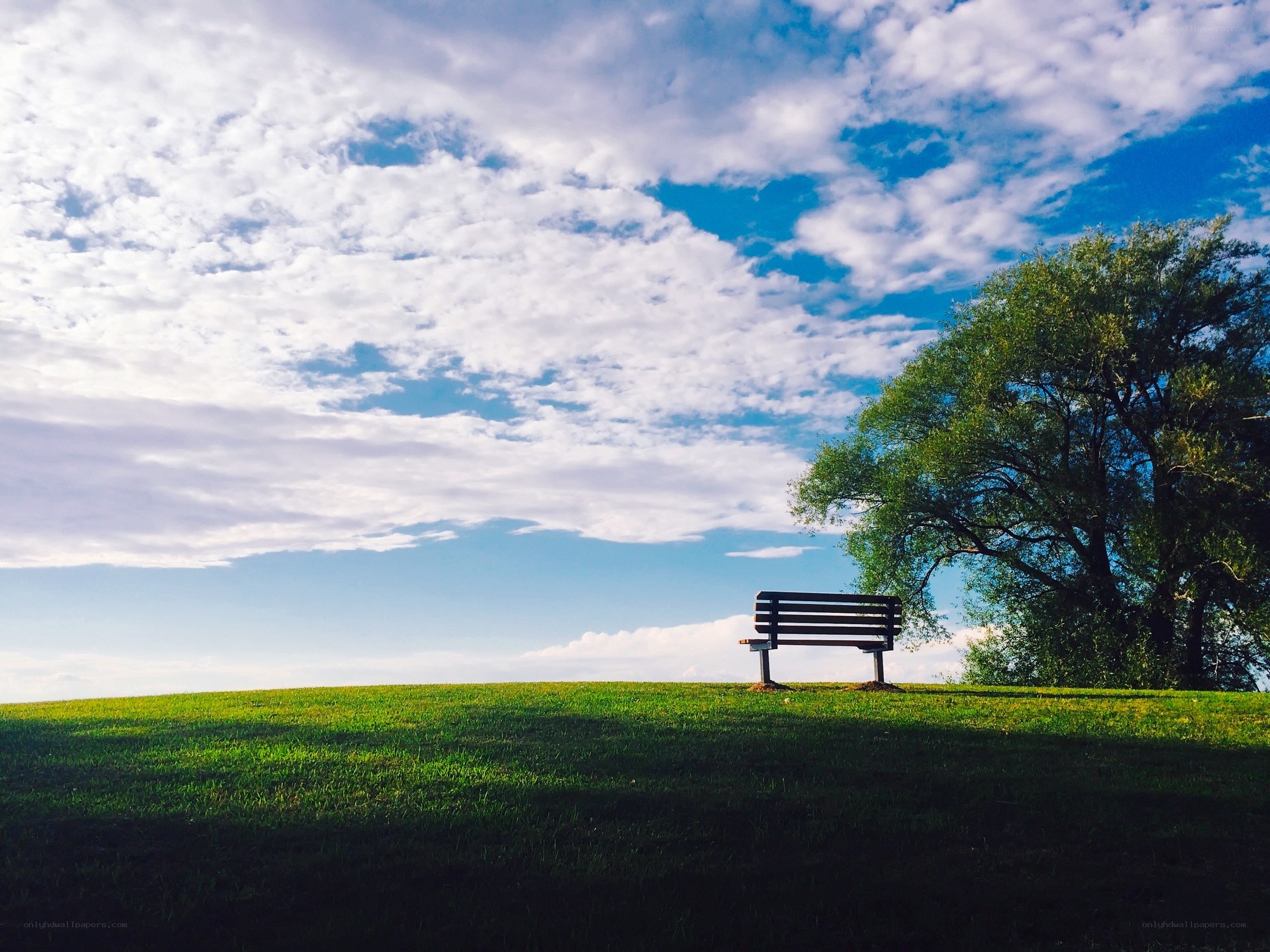 Bench under a cloudy sky