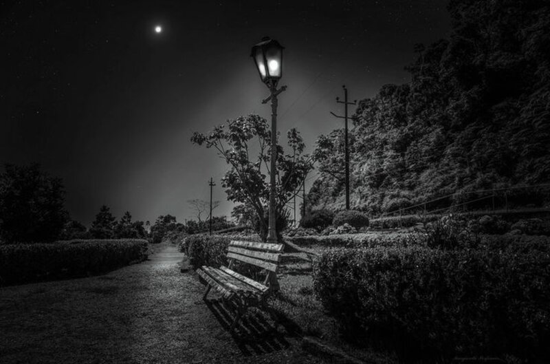 Bench under Street Lamp