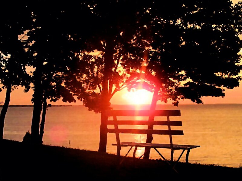 Bench under Tree at Sunset