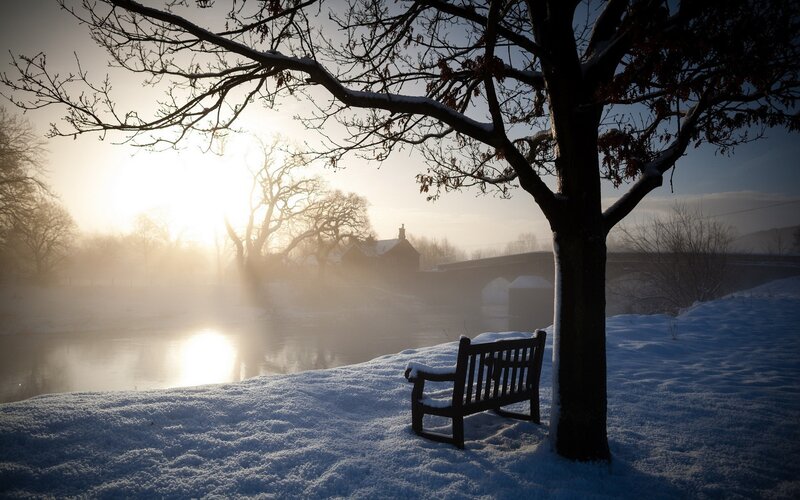 Bench under Tree in Snow