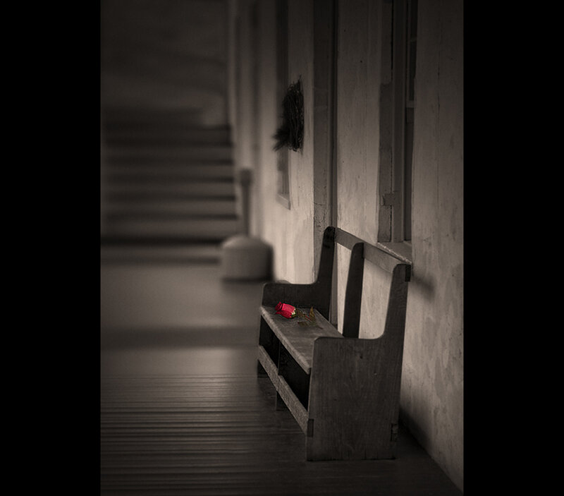 Bench with red rose on porch