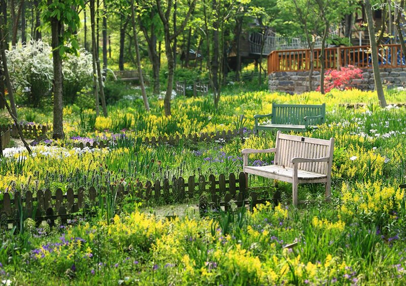 Benches in Flower Garden