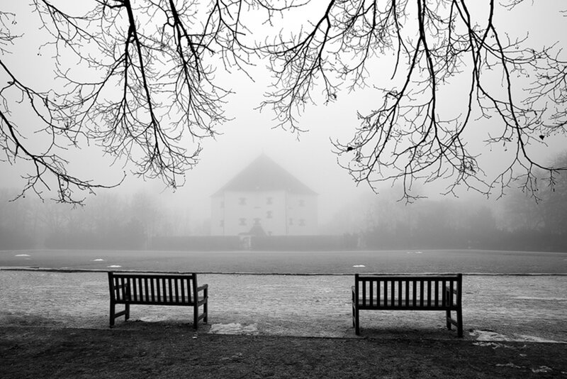 Benches in Foggy Park