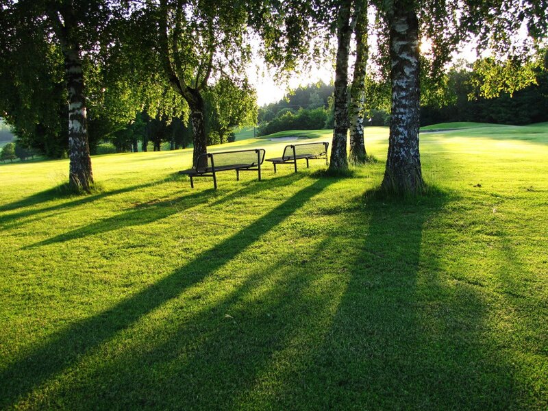 Benches in Park