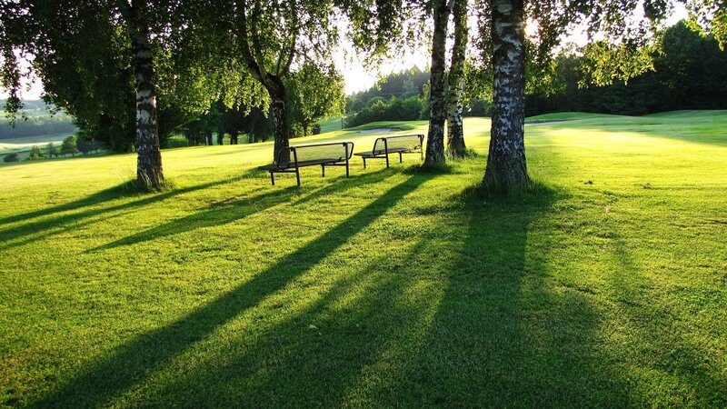 Benches on Golf Course