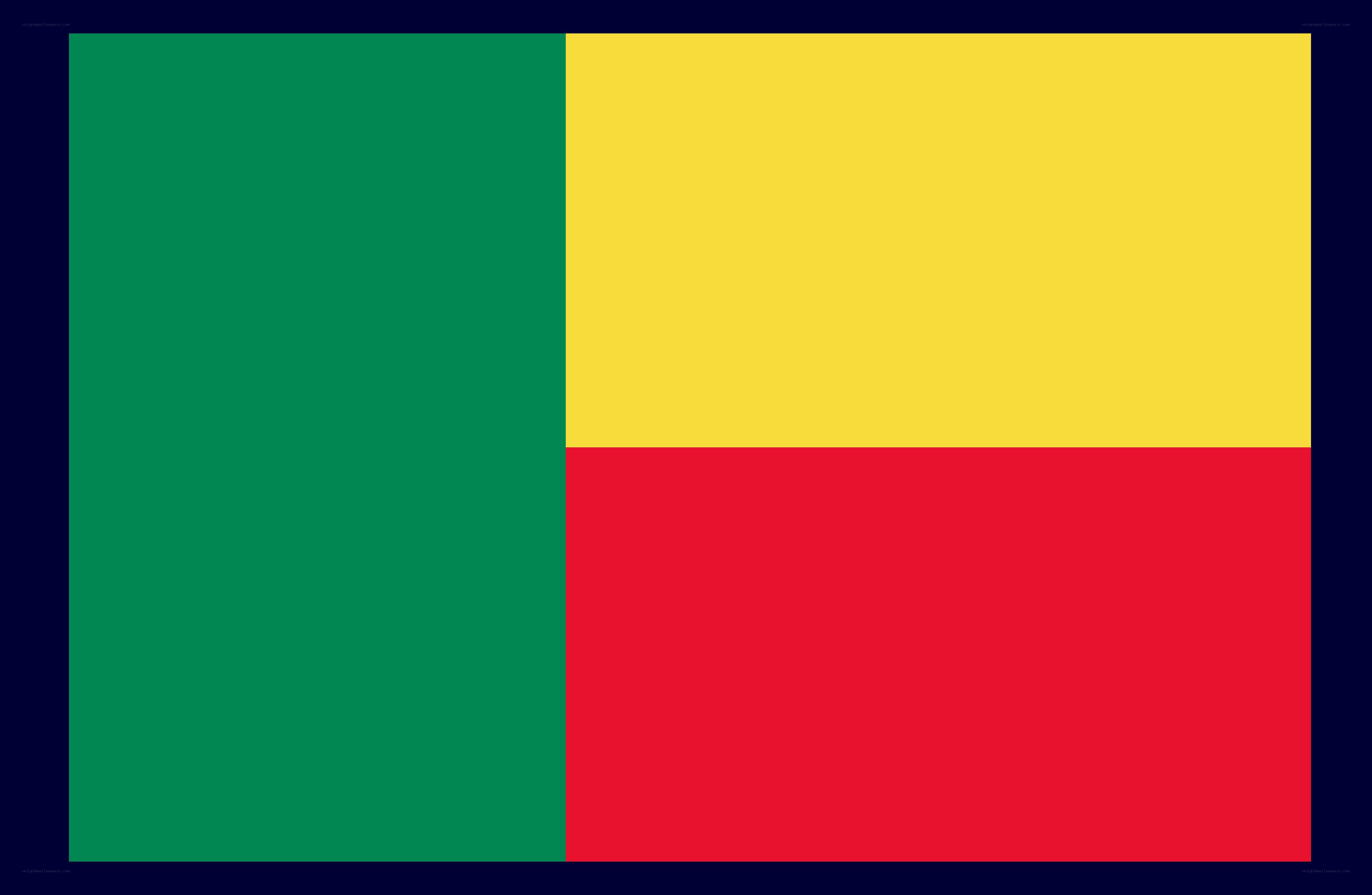 Benin national flag