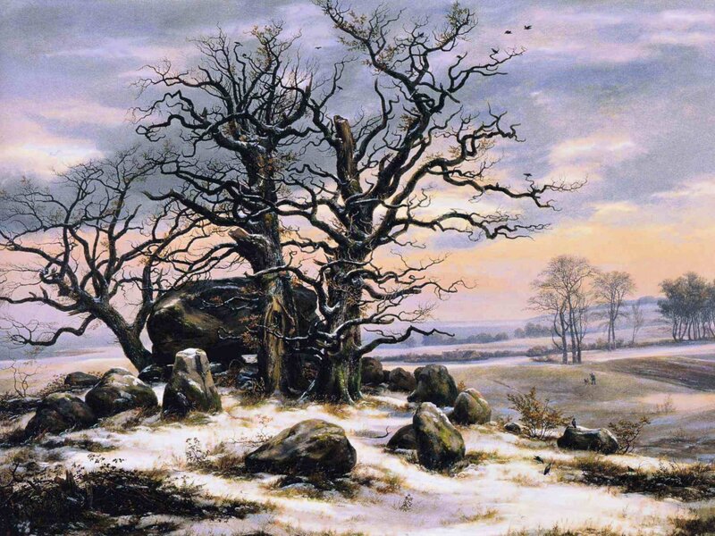 Bent Oak Trees in Snow