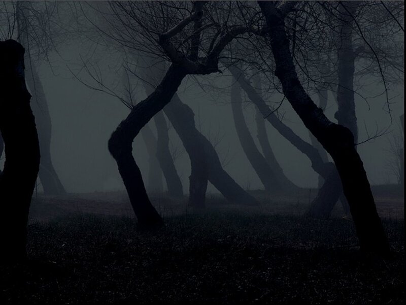 Bent Trees in Fog