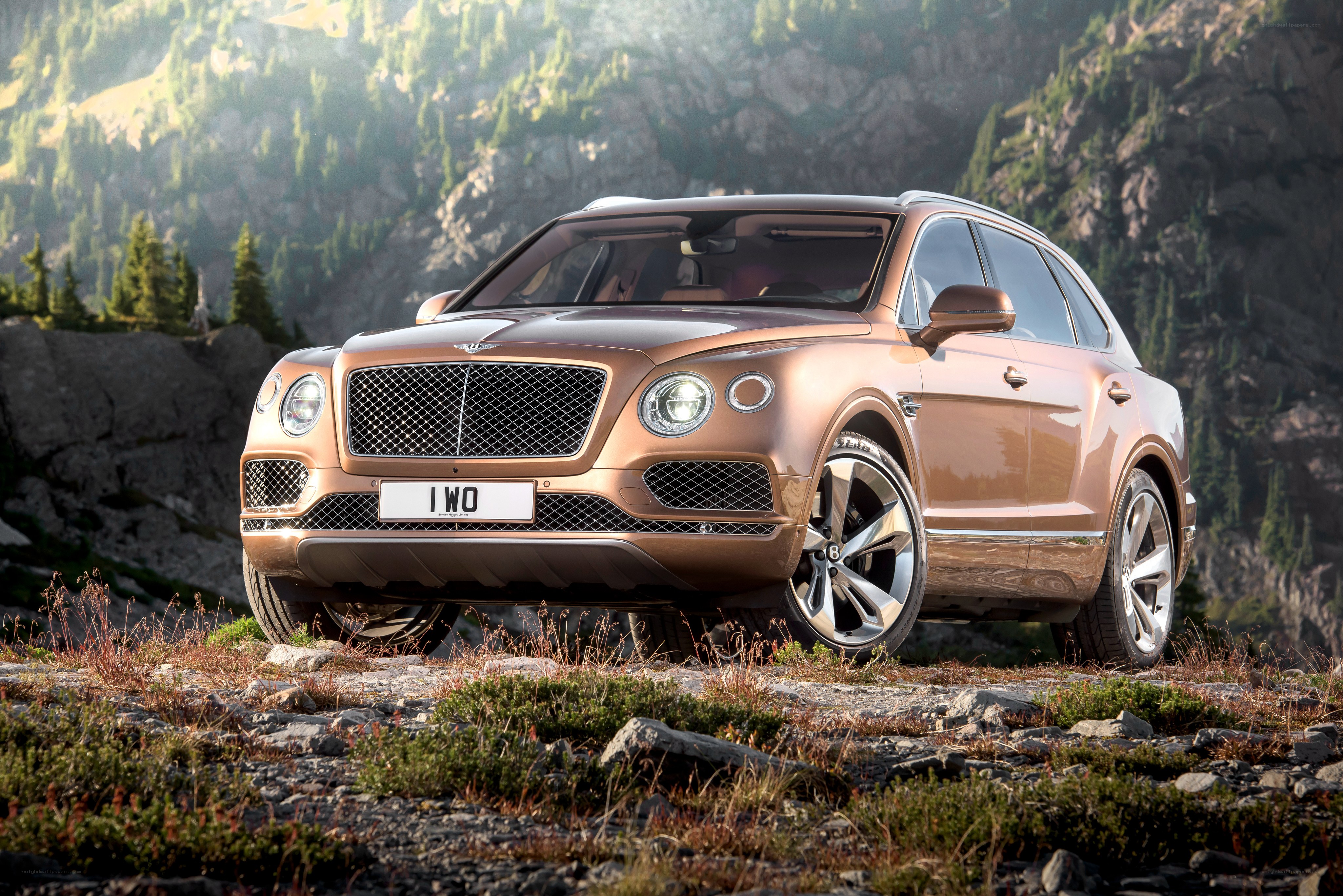 Bentley Bentayga in mountain landscape