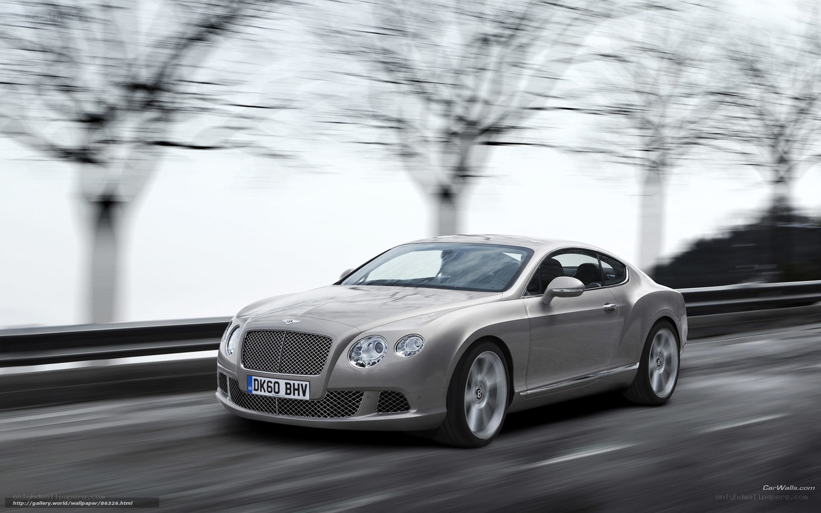 Bentley Continental GT in motion