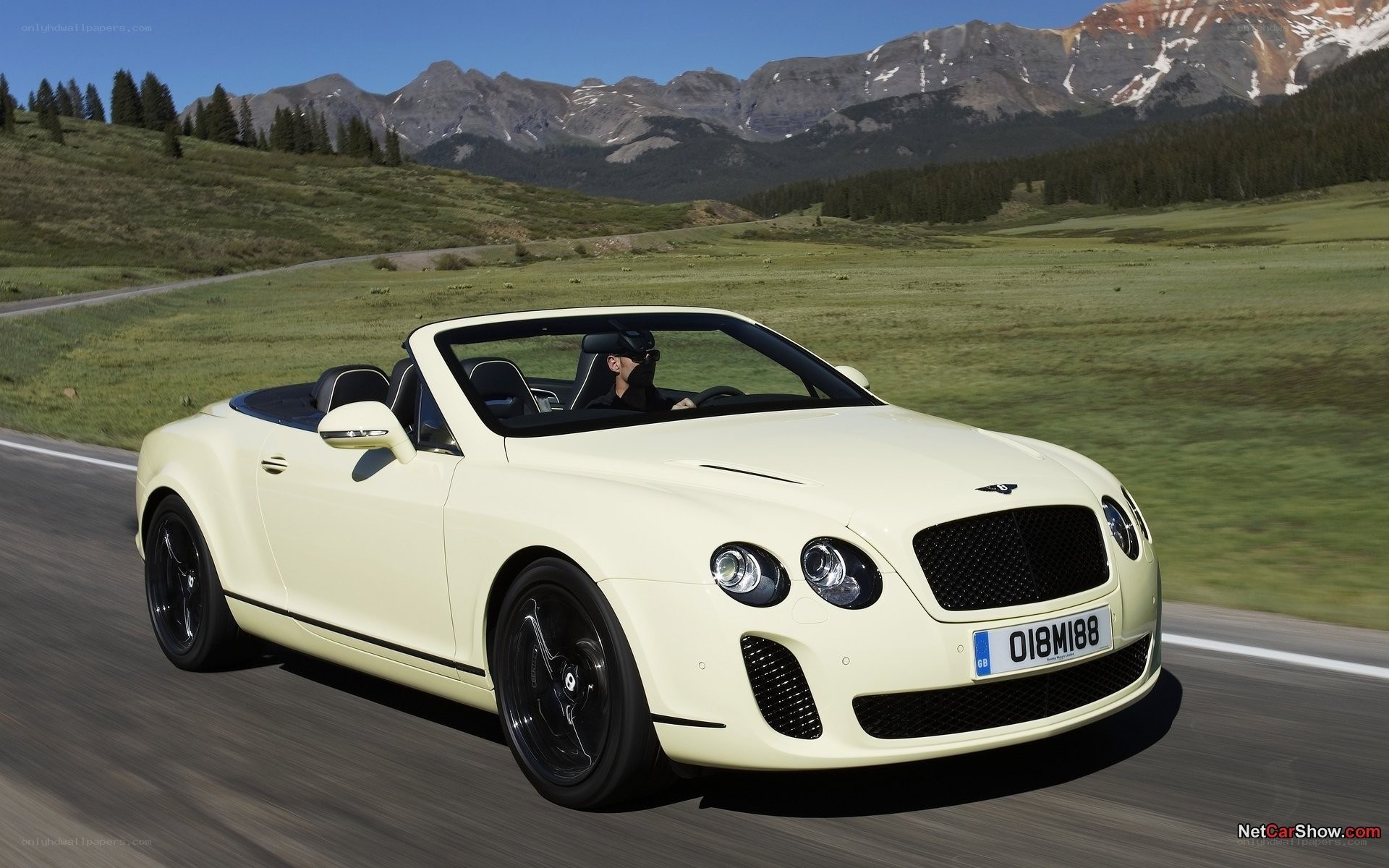 Bentley Continental GTC driving