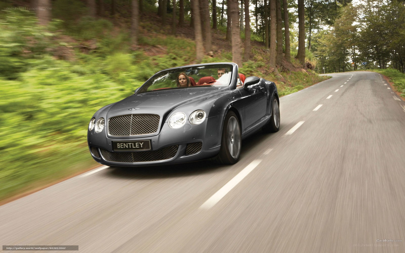 Bentley convertible on forest road