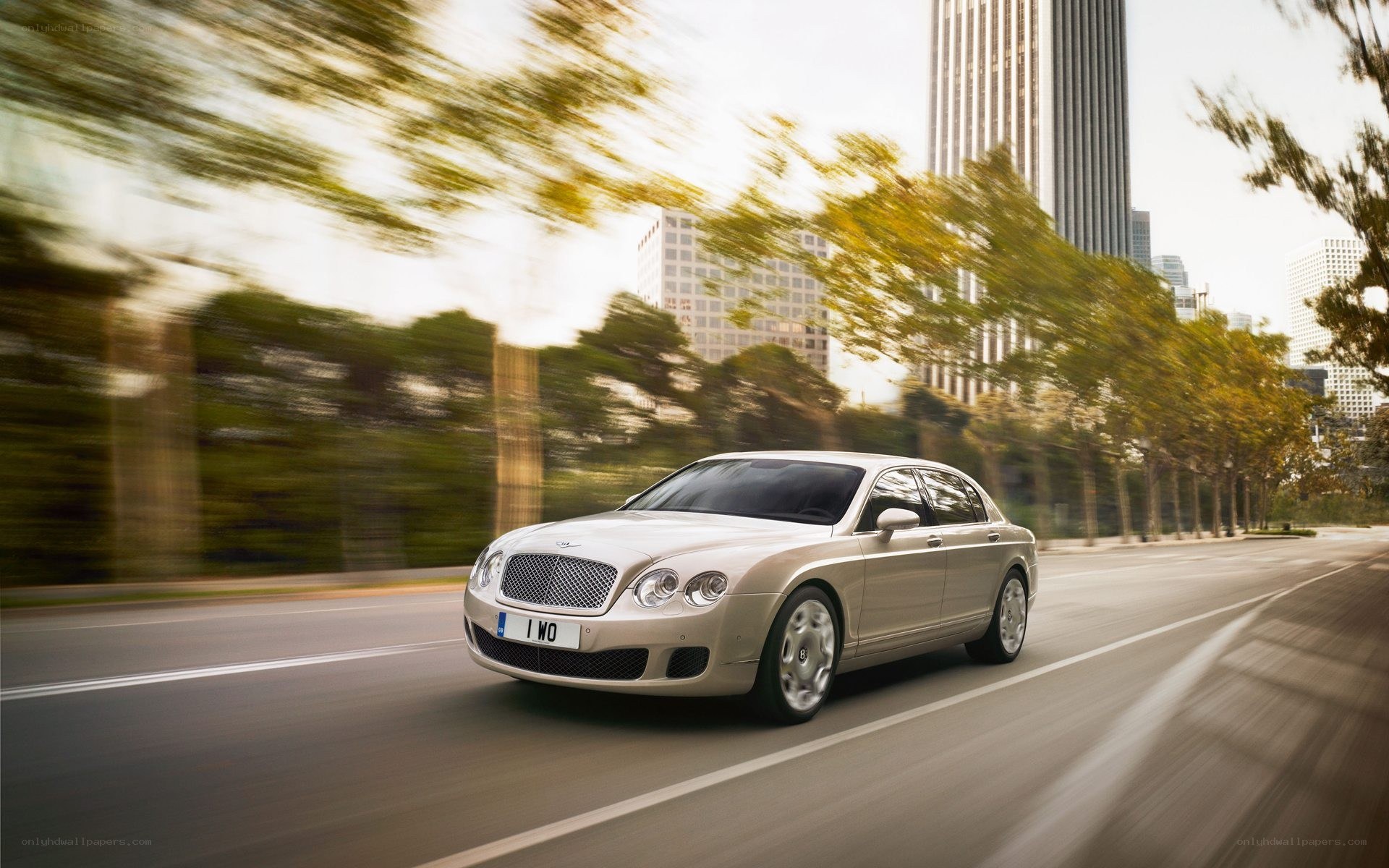 Bentley driving in city