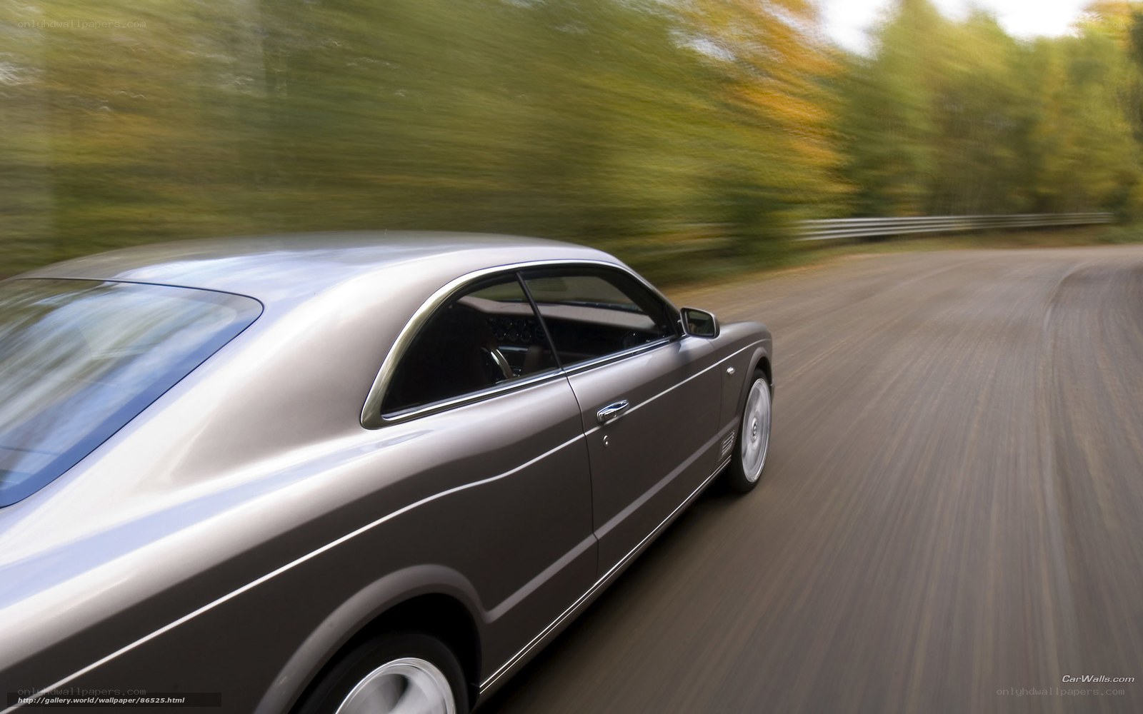 Bentley driving on a road