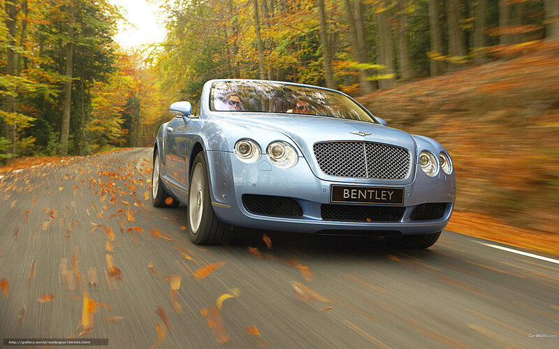 Bentley driving on autumn road