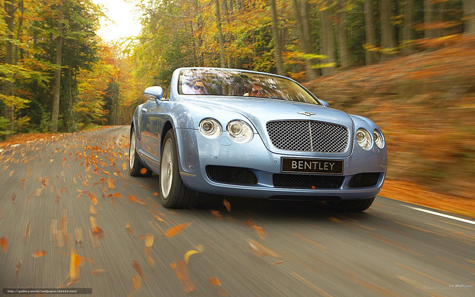 Bentley driving on autumn road