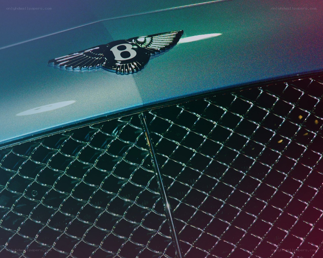 Bentley emblem on car grille