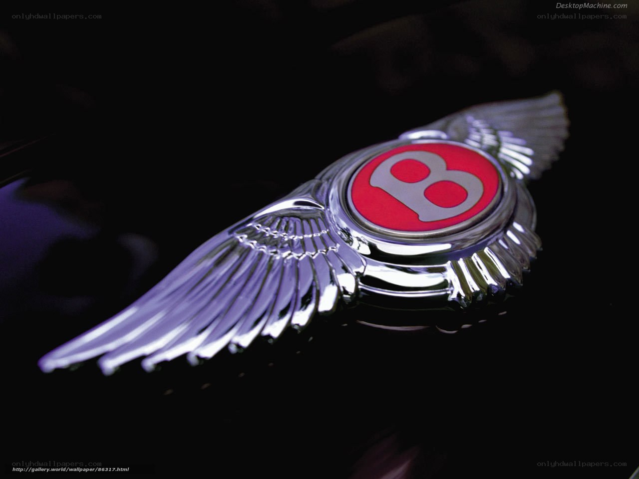 Bentley emblem on car hood