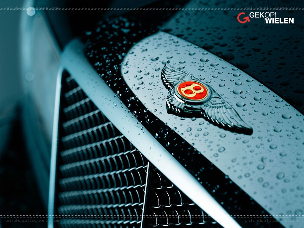 Bentley emblem on wet car