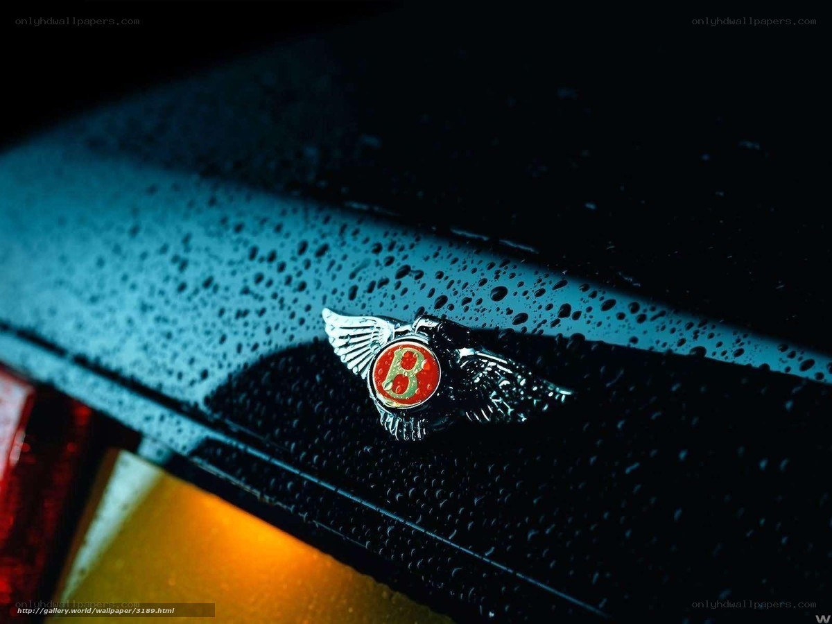 Bentley emblem on wet car