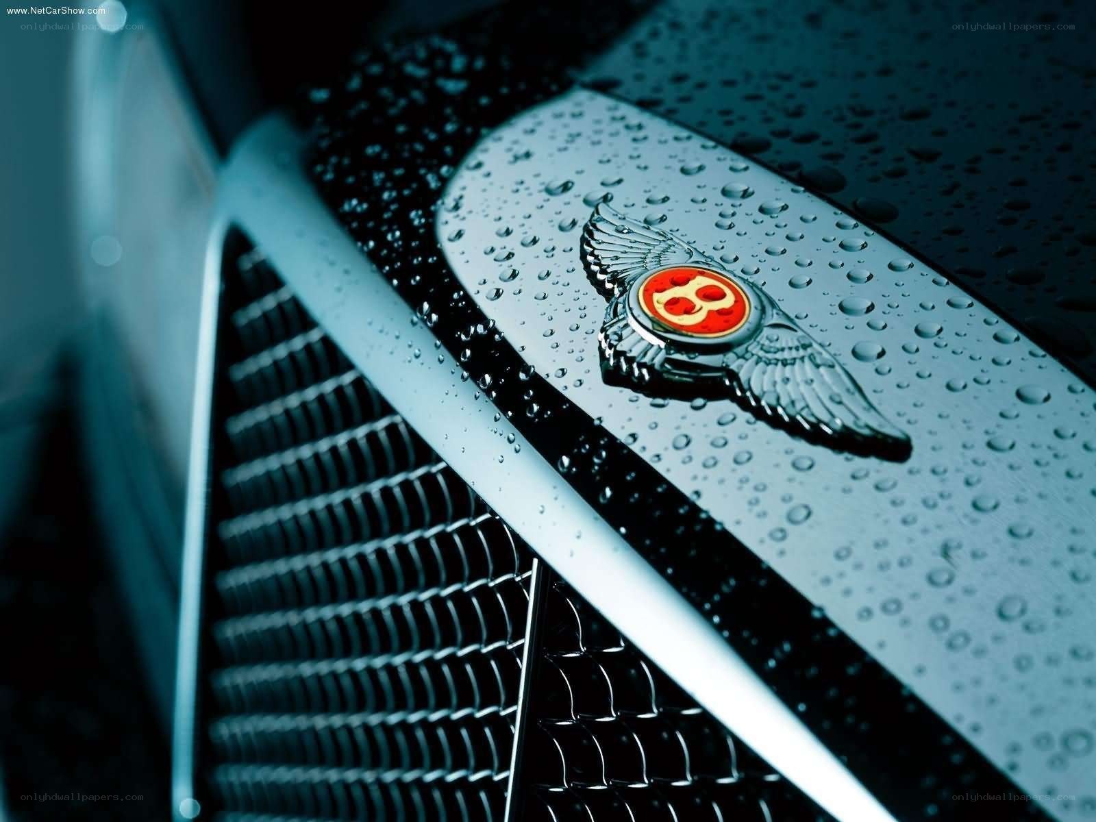 Bentley emblem on wet grille