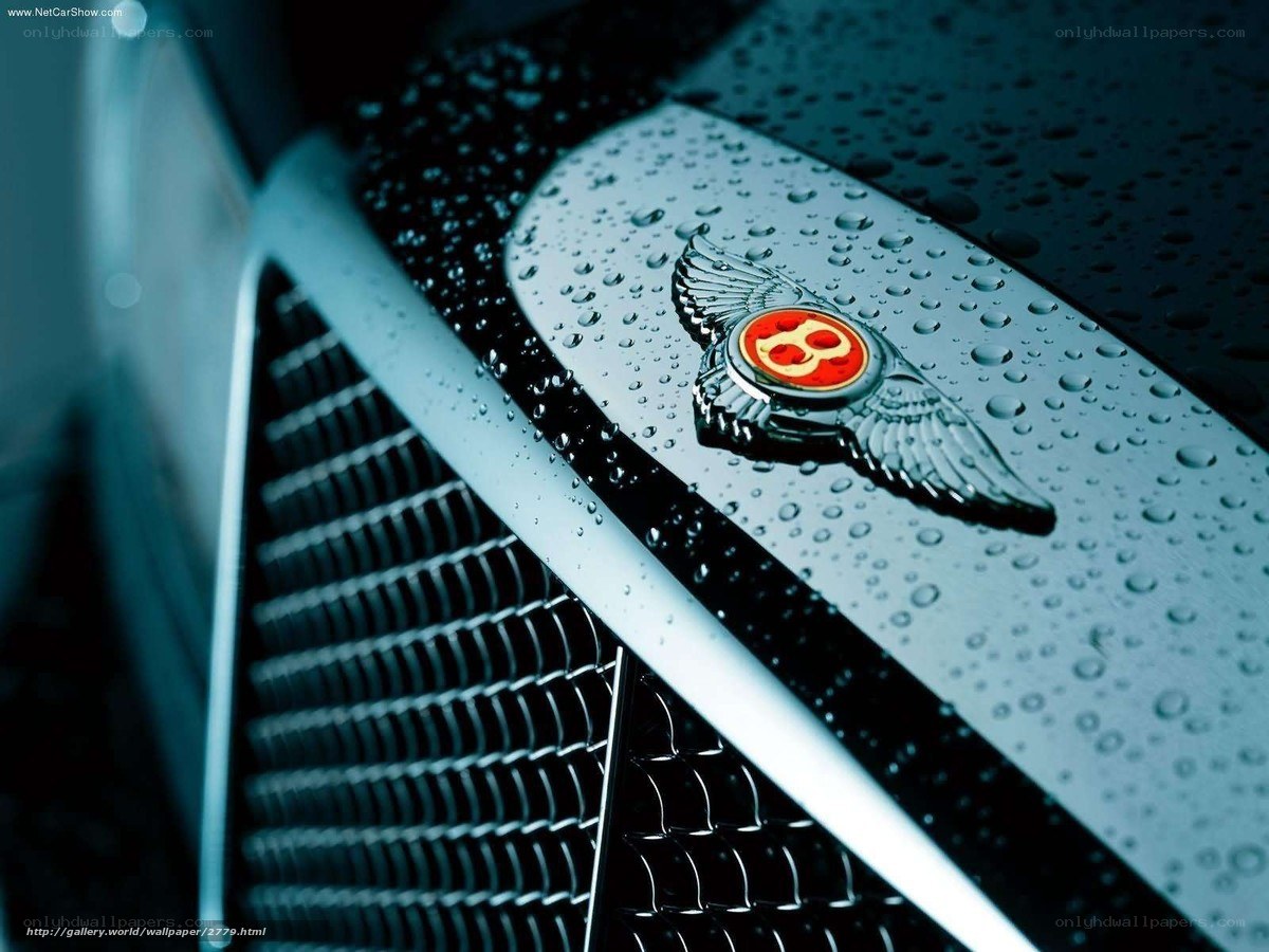 Bentley emblem on wet grille