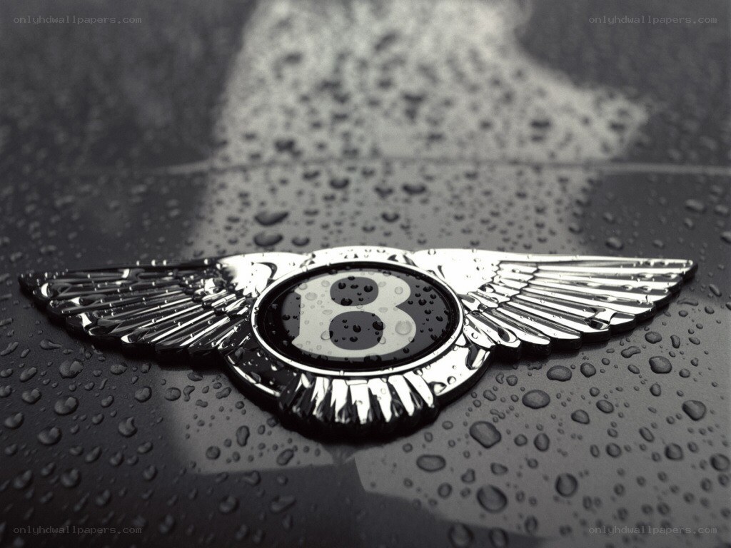 Bentley emblem on wet surface