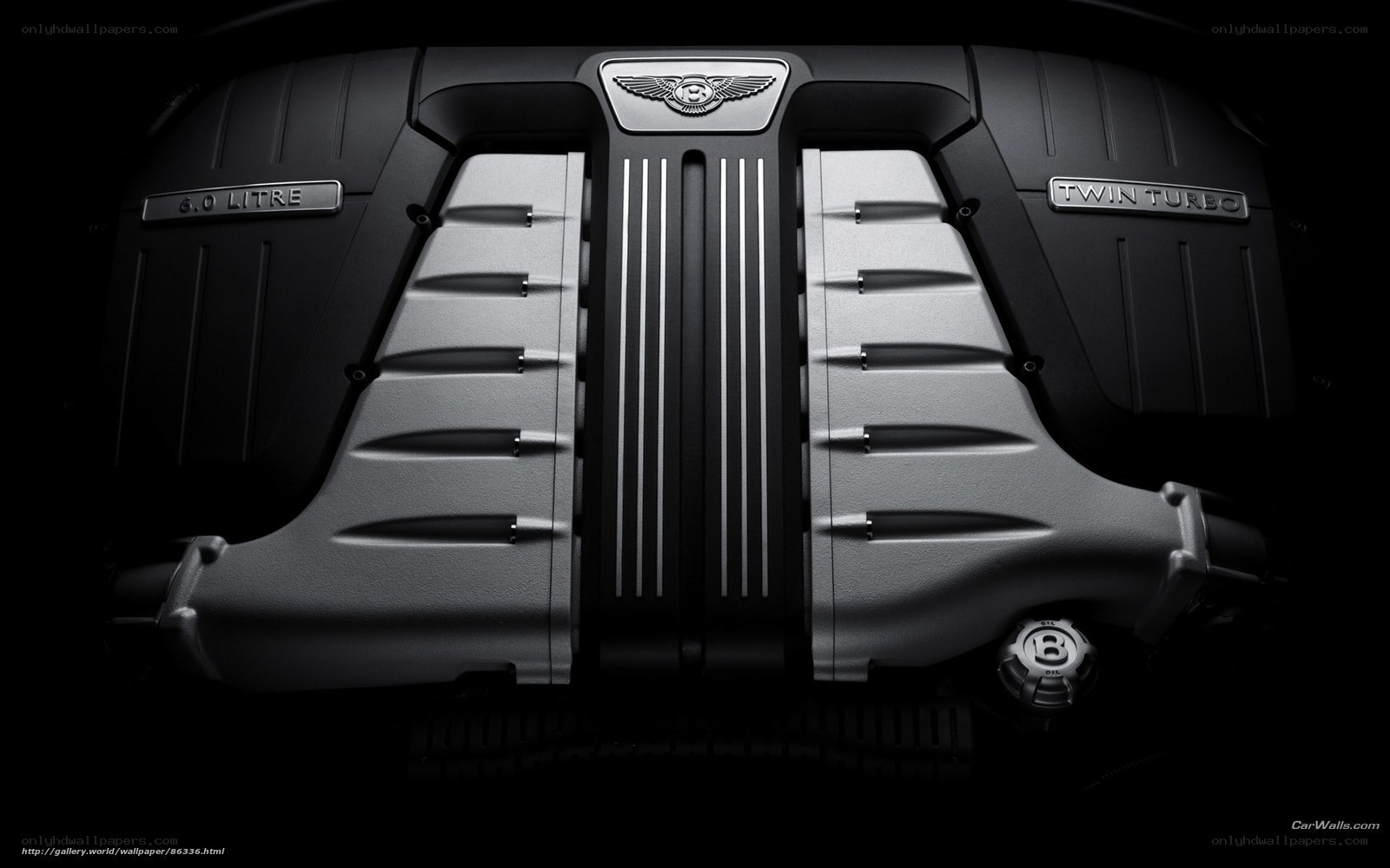 Bentley engine cover