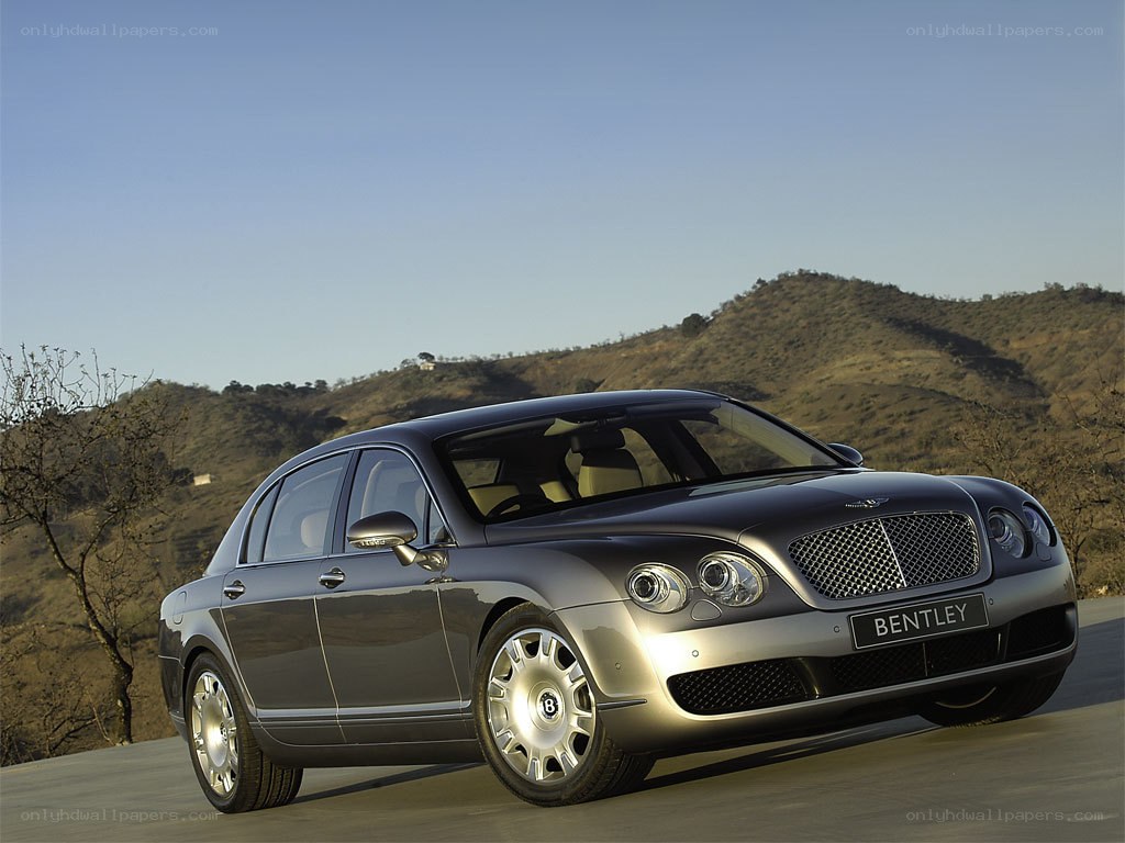 Bentley Flying Spur on a hillside