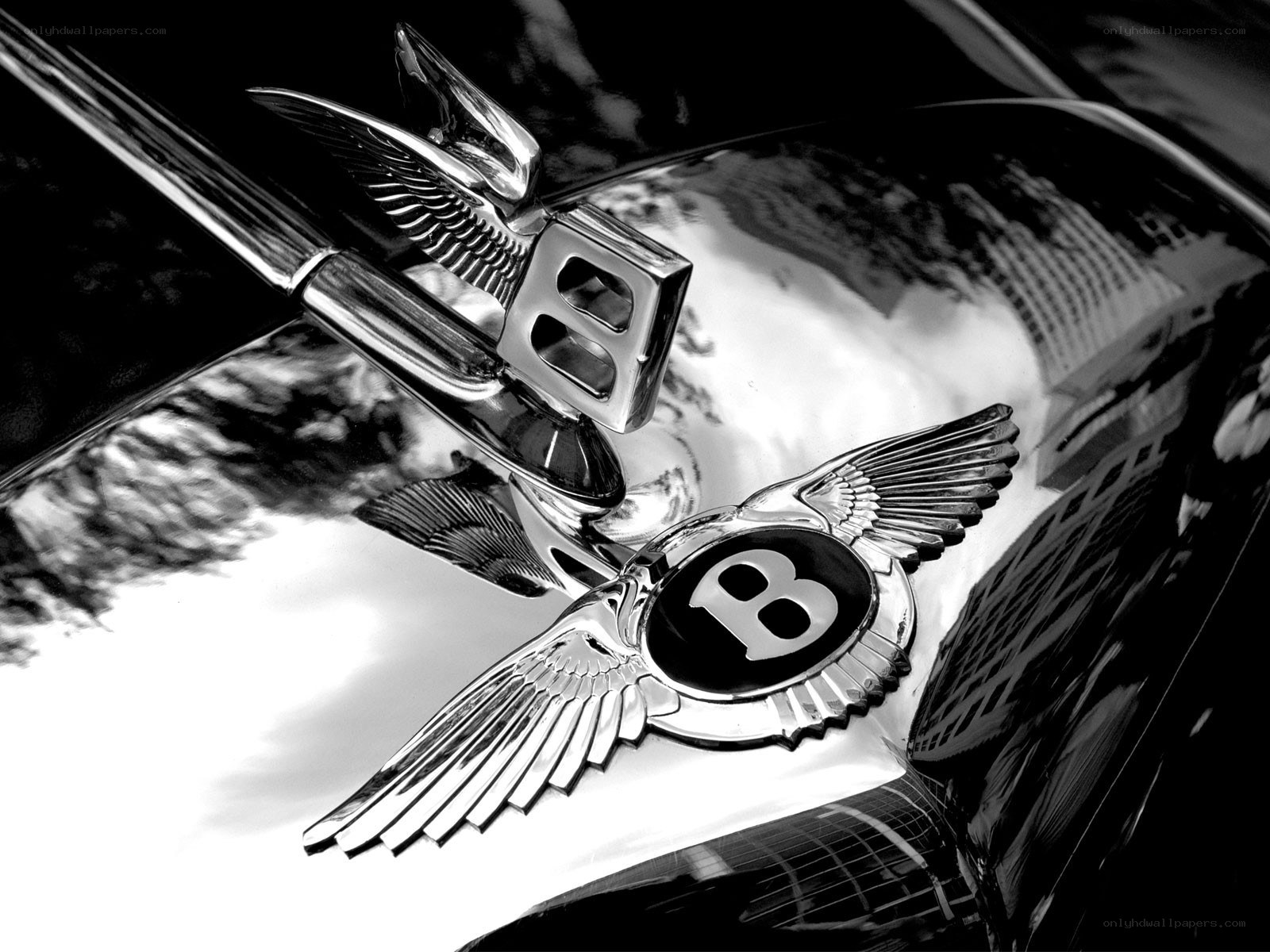 Bentley hood ornament
