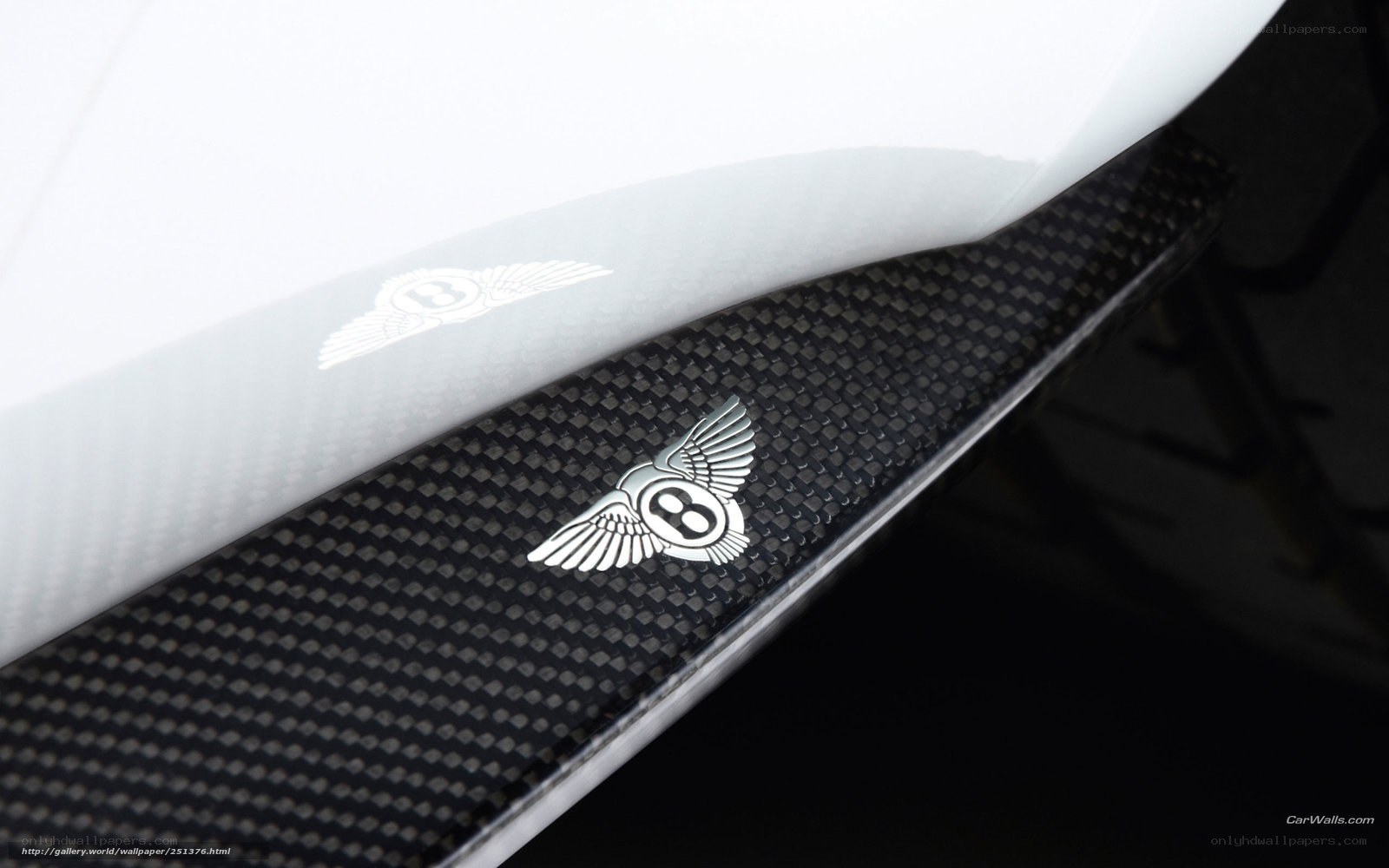 Bentley logo on carbon fiber