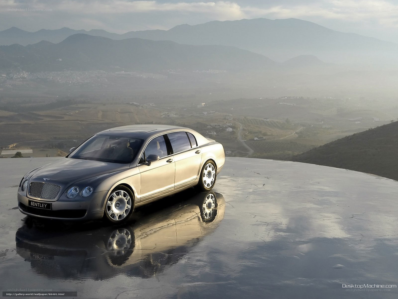 Bentley on a reflective platform