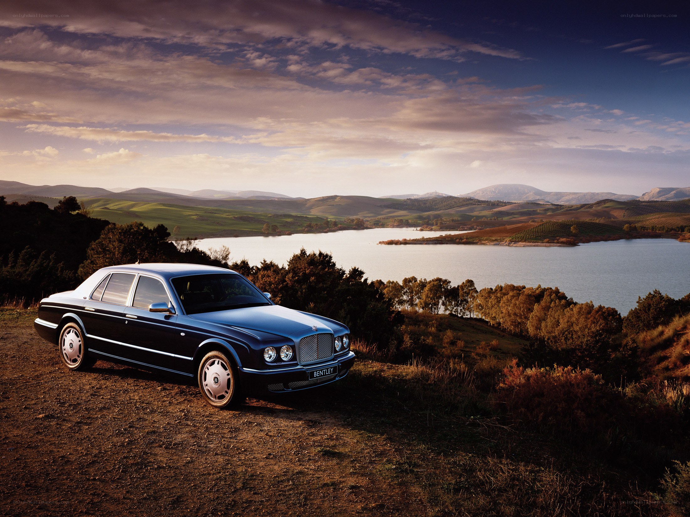 Bentley on a scenic hillside