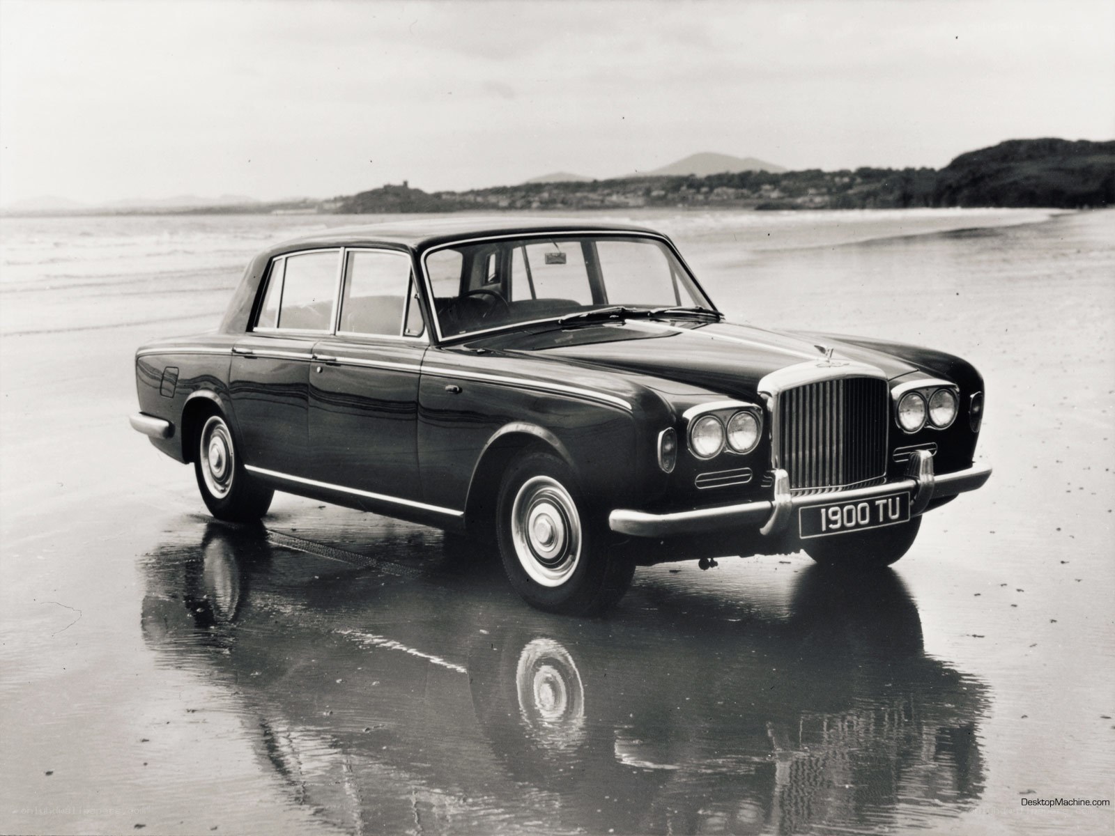 Bentley on a wet beach