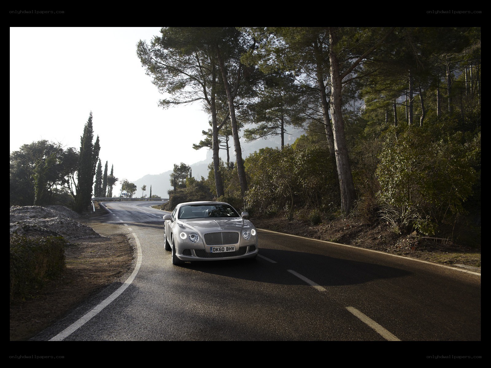 Bentley on a winding road
