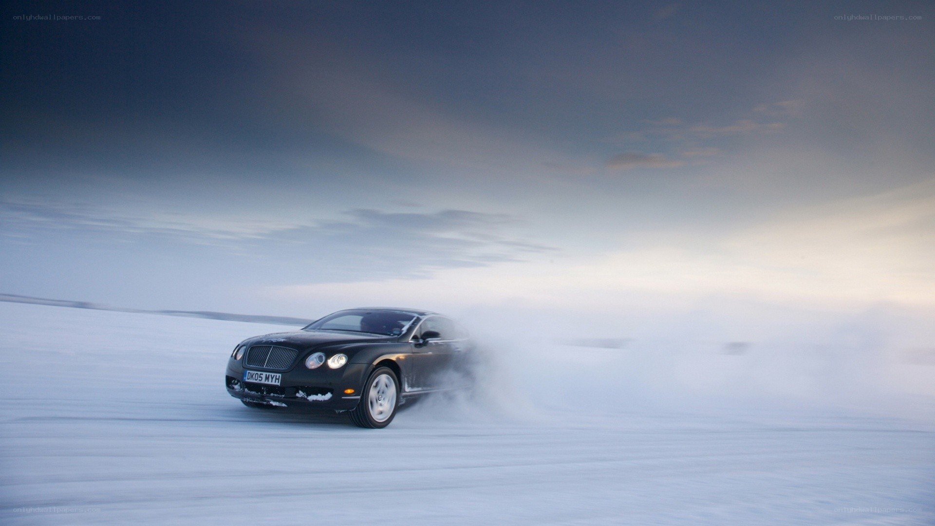 Bentley on snowy landscape