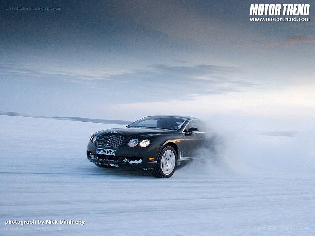 Bentley on snowy terrain