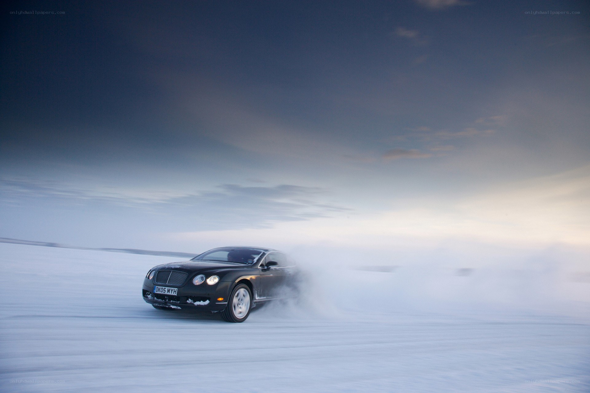 Bentley on snowy terrain
