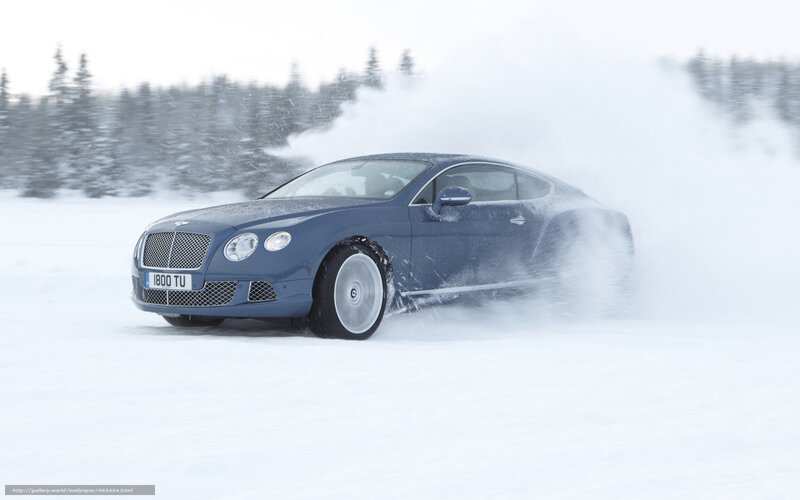 Bentley on snowy track